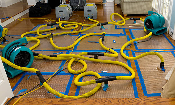 Professional Crawl Space Water Removal technician working in Peach Springs, AZ